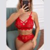 photo_1_2023-06-02_17-01-44 Сексуальний комплект:бюстгальтер і труси з квіткового мережива, 3 кольори