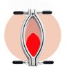 Розширювач статевих губ Vulva Opener Pro