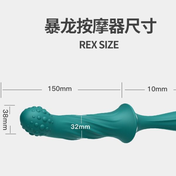 Анальний вібратор з 10 режимами вібрації Rex Power Flex